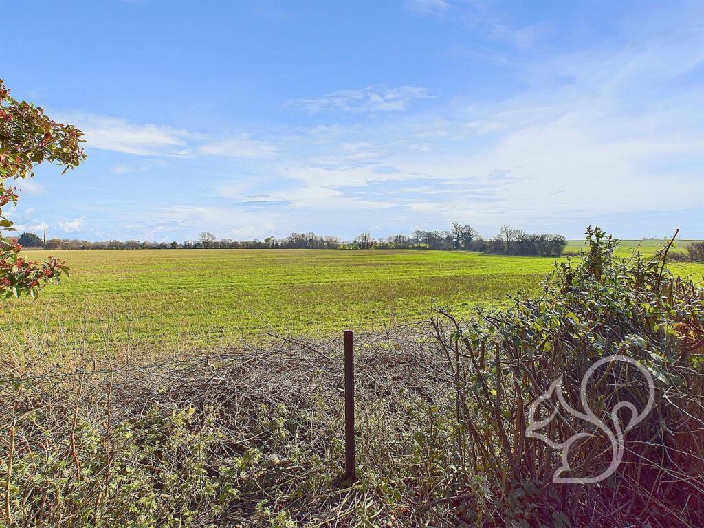 Field Views
