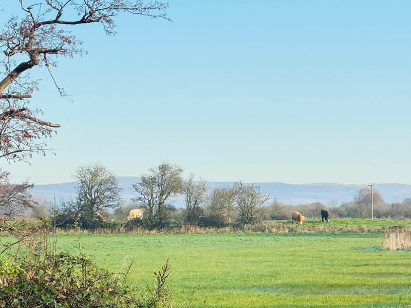 Enviable Semi-Rural Surroundings