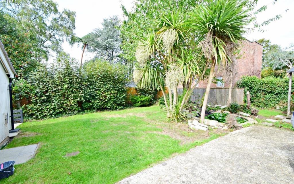 Communal Garden
