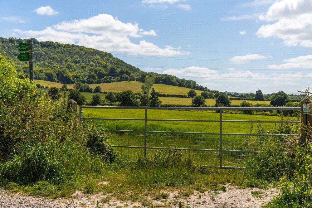 Countryside Setting