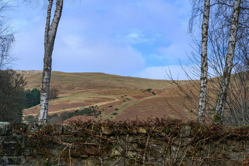 MtDevon45.jpg