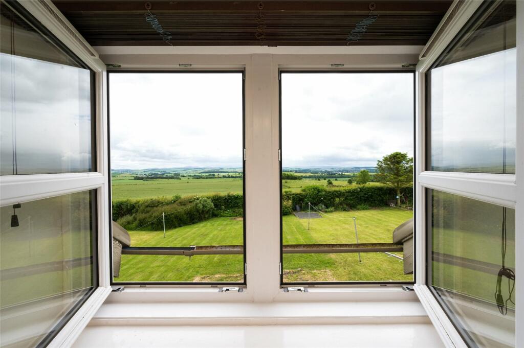 View From Window