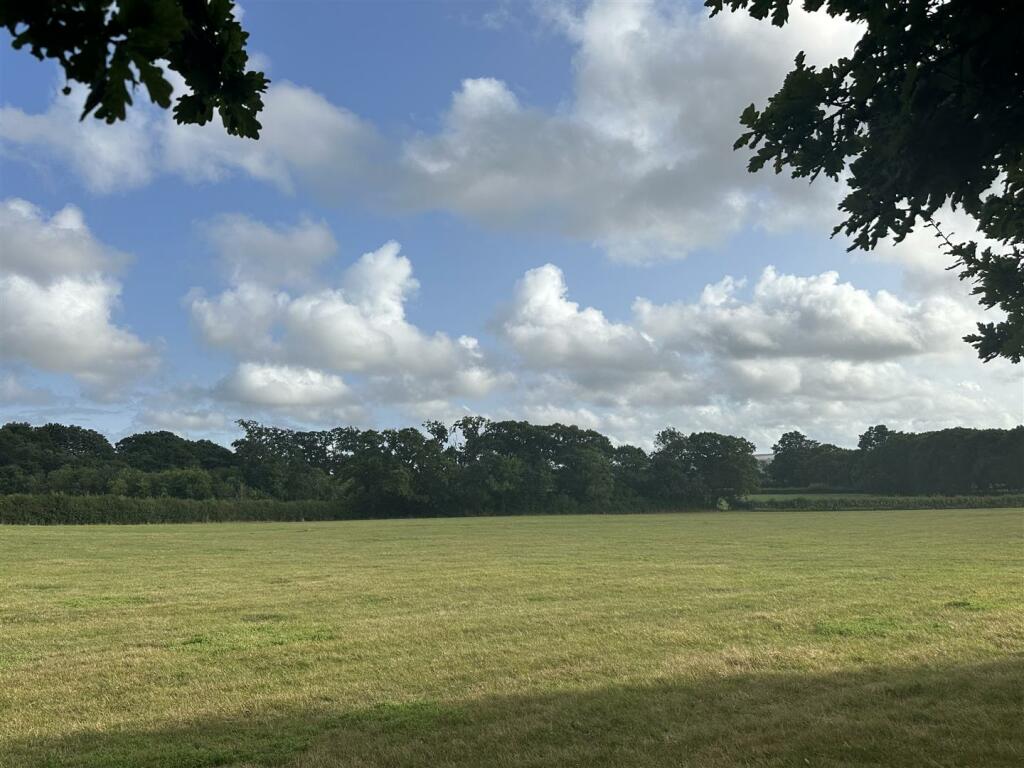 IMG_0299.jpeg