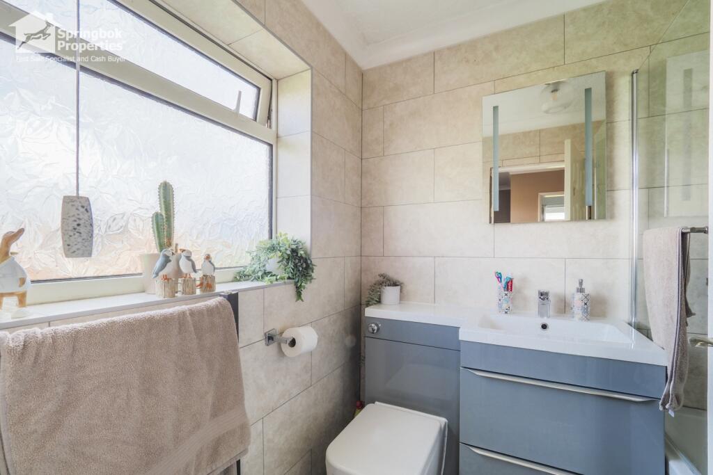 IMAGE 6