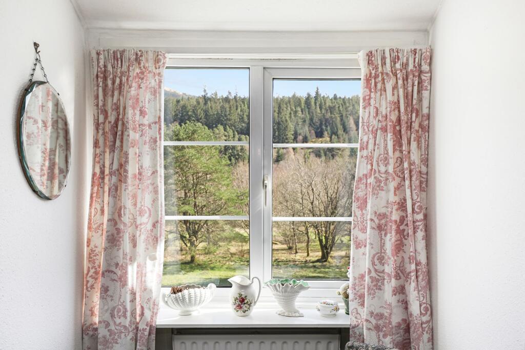 View from Window
