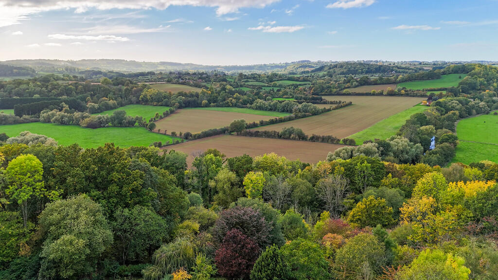 1361501-9-2025100...