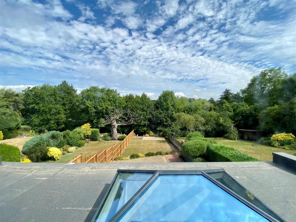 garden view.jpg