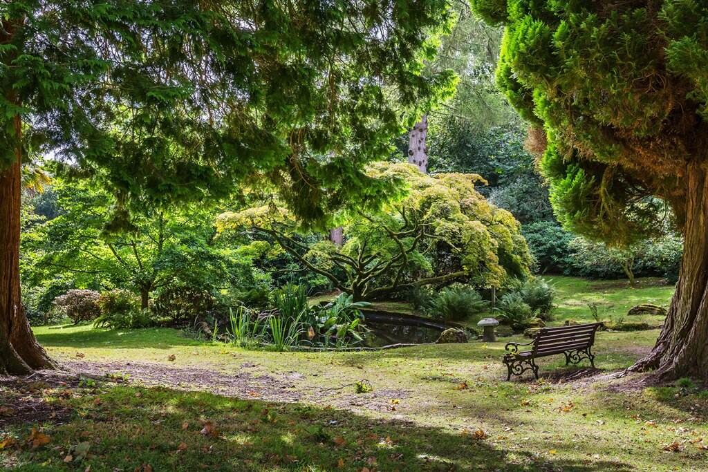 Garden property to r