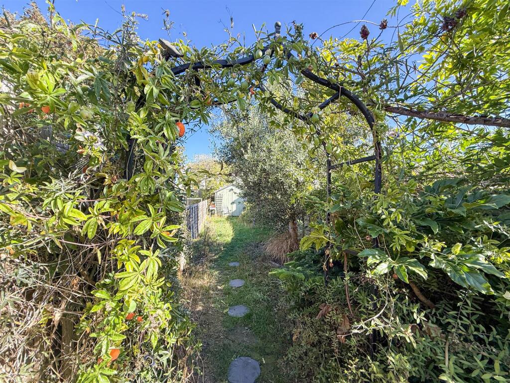 garden