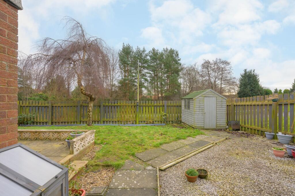 Back Garden