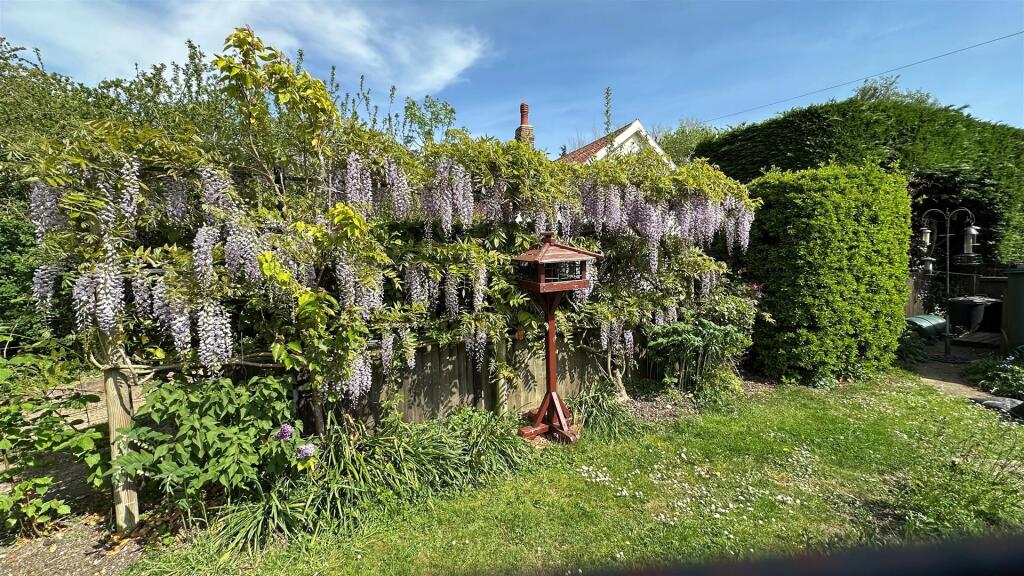 wisteria picture.jpg
