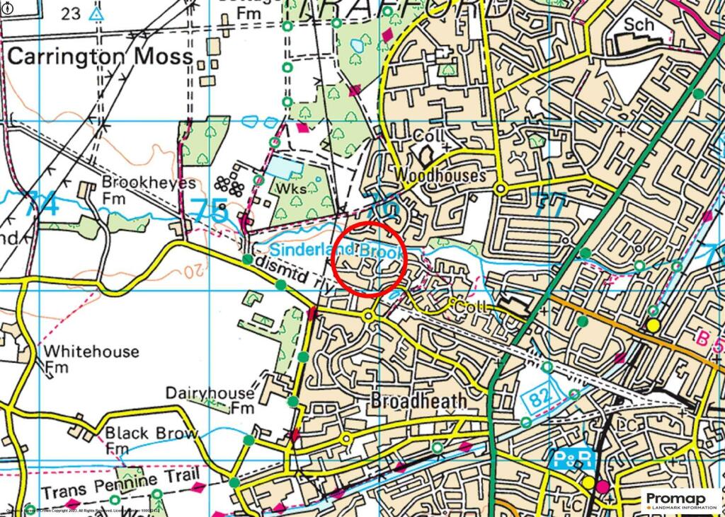 Town Plan