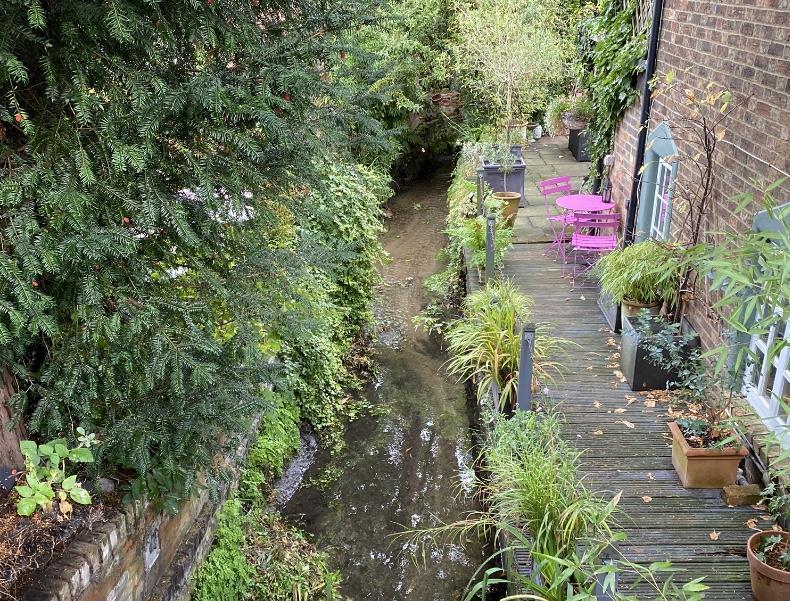 IMG_4102 - River Bulbourne.jpg