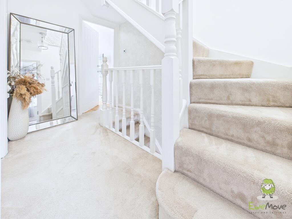 CAM01543G0-PR0146-STILL043