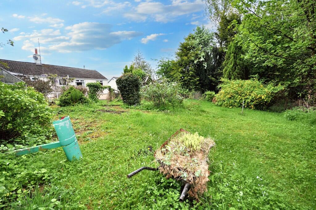 Back Garden