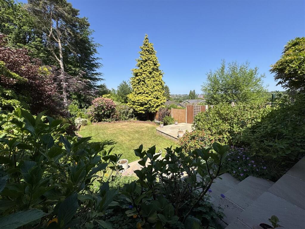 IMG_9487 (Large).JPG