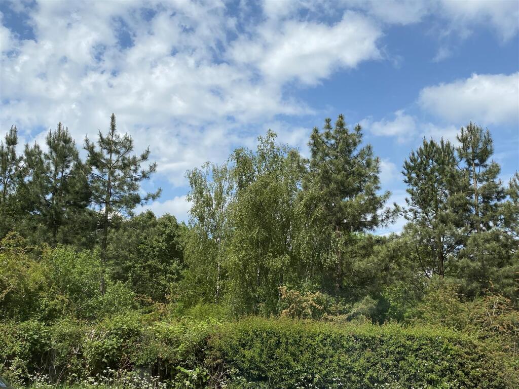 OUTLOOK FROM FRONT WINDOWS.JPG