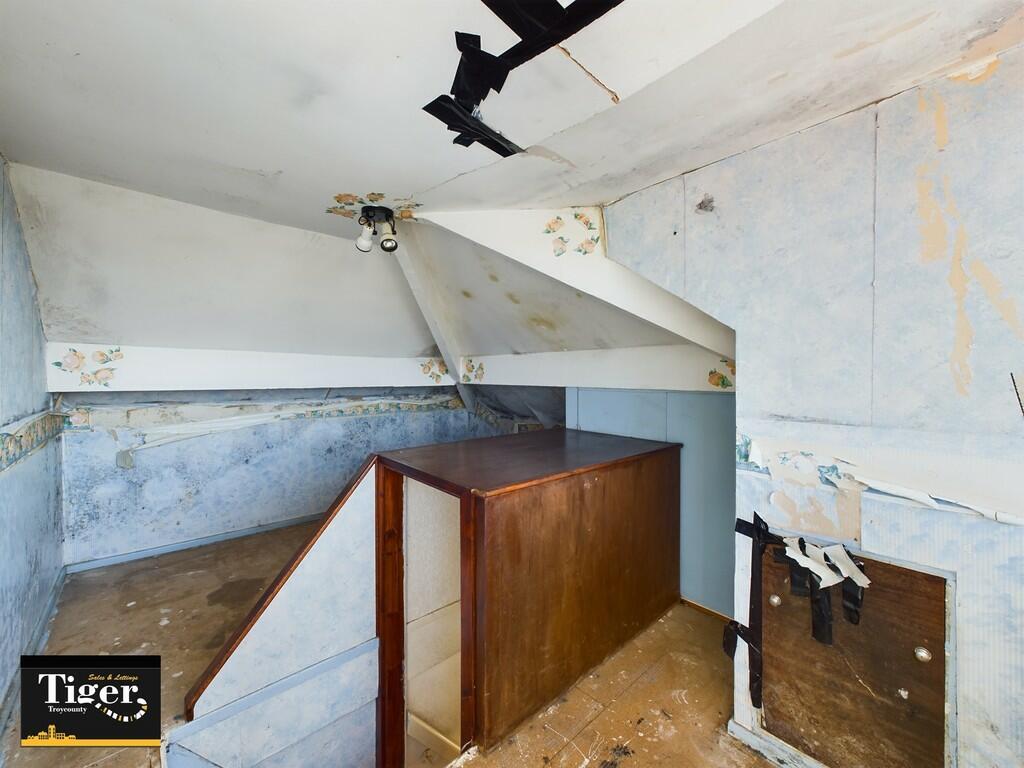 CAM03440G0-PR0137...