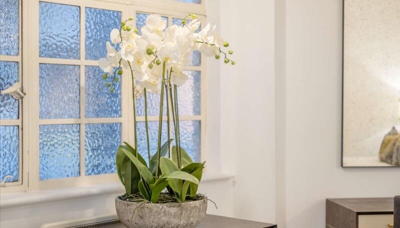 lg_p1065_637430427897765824