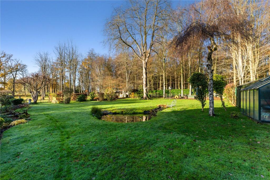 Grounds