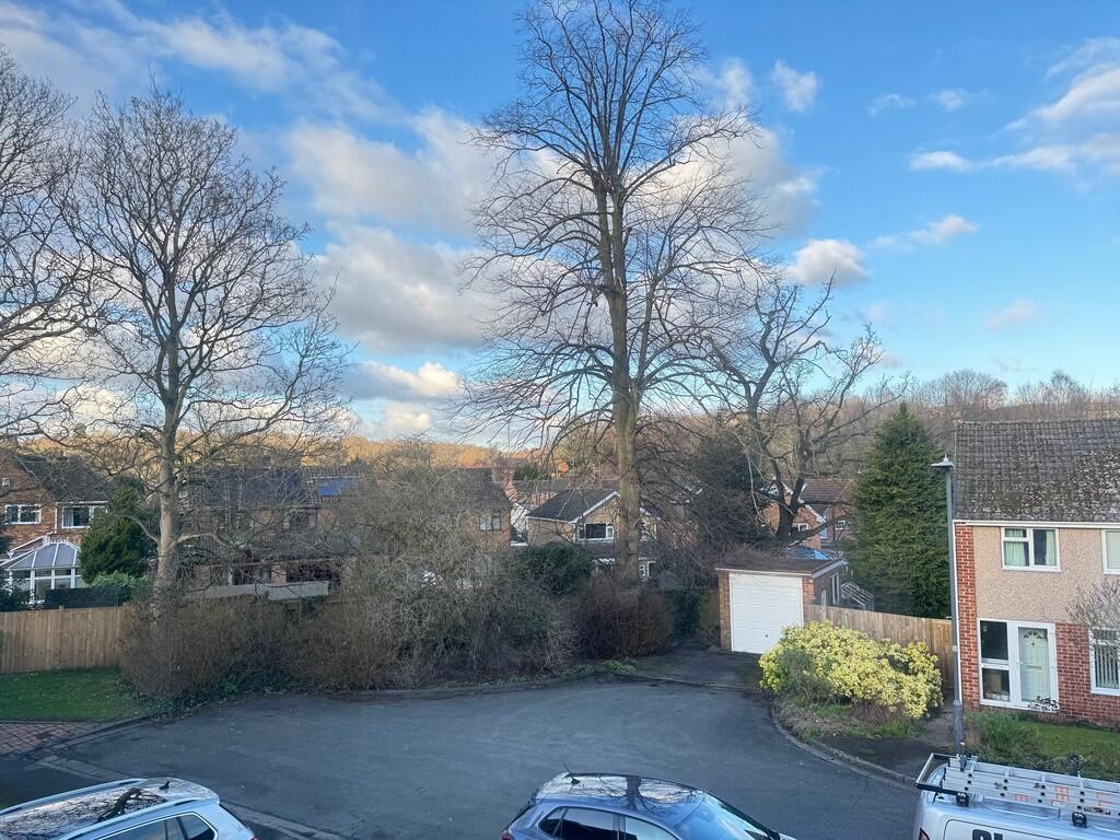 View from Bed 1 a...
