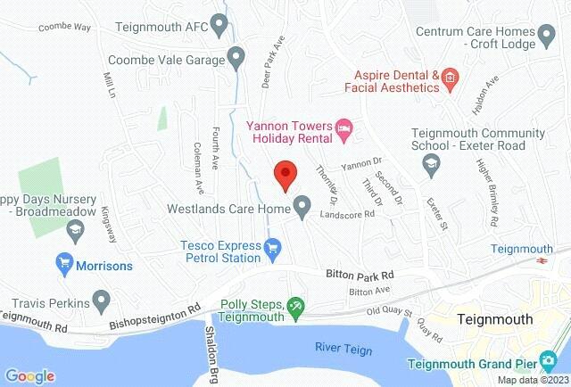 Google Maps Image