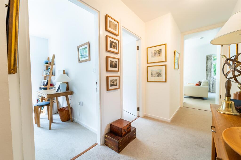 nest18.jpg