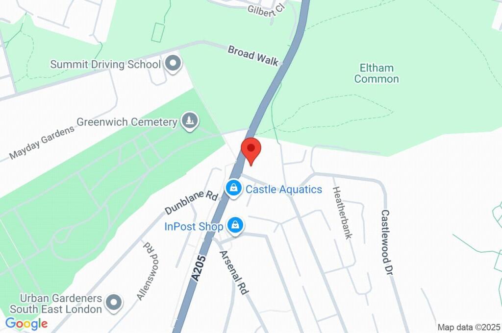Google Maps Image