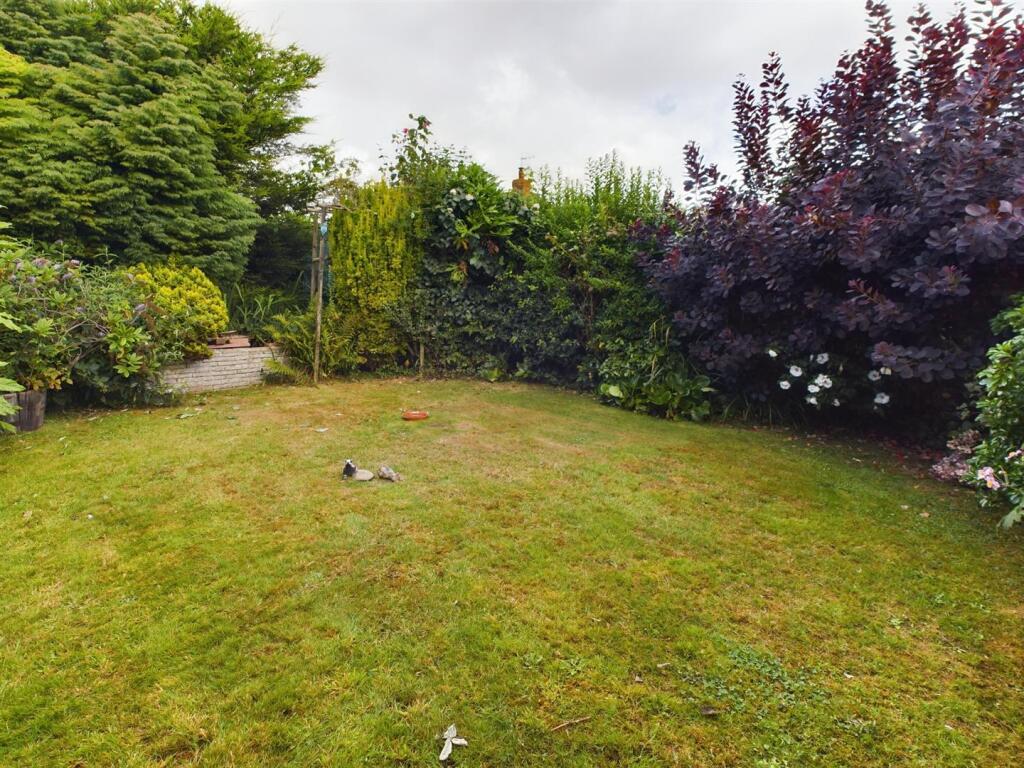 Garden .jpg