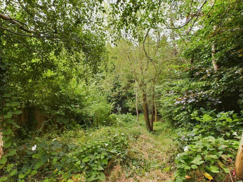 Wooded Garden