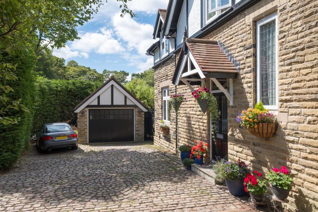 untitled (1 of 1).jpg