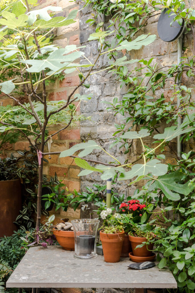 228559 - The Wee House-20.jpg