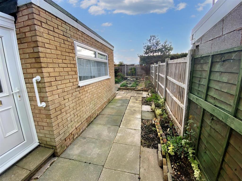 garden 2.jpg