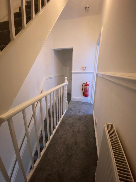 11_16010387843081.jp