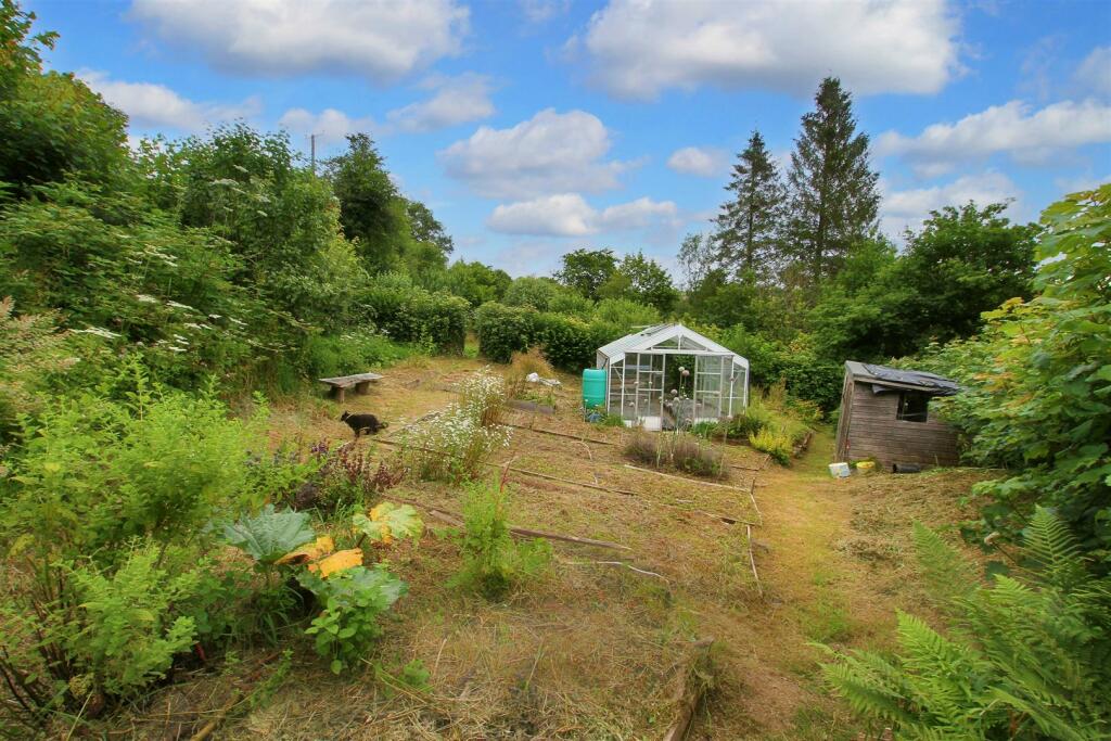 veg beds and greenhouse