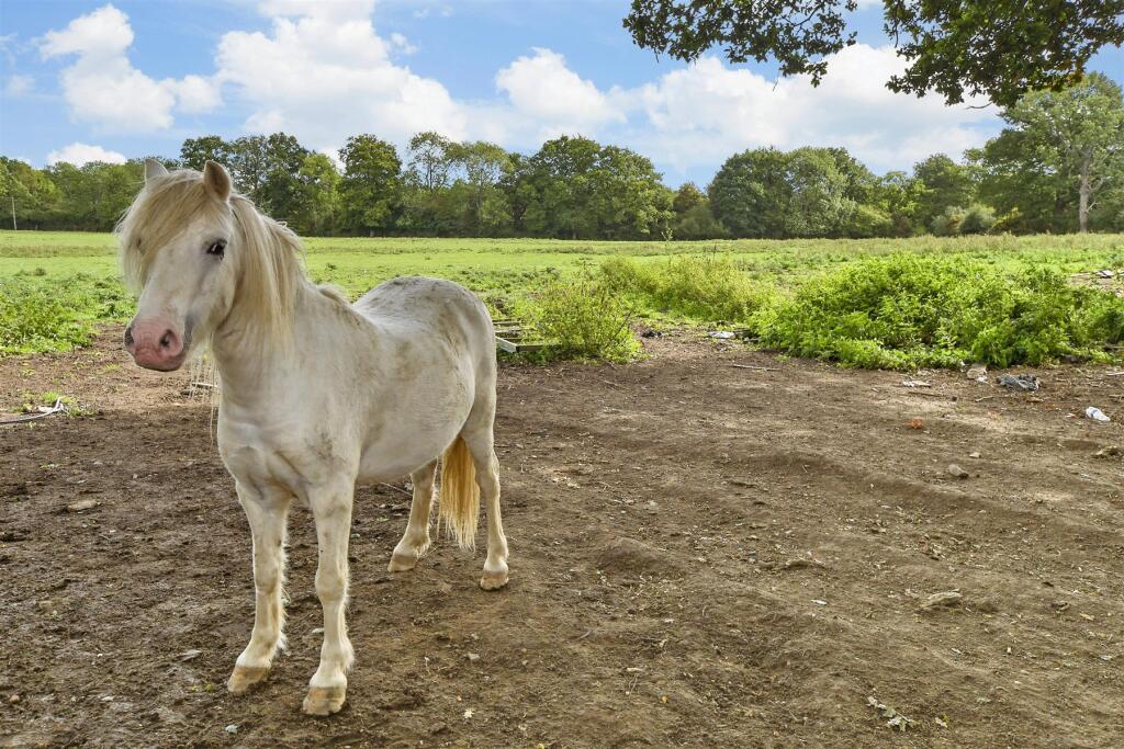 External Lifestyle Photograph