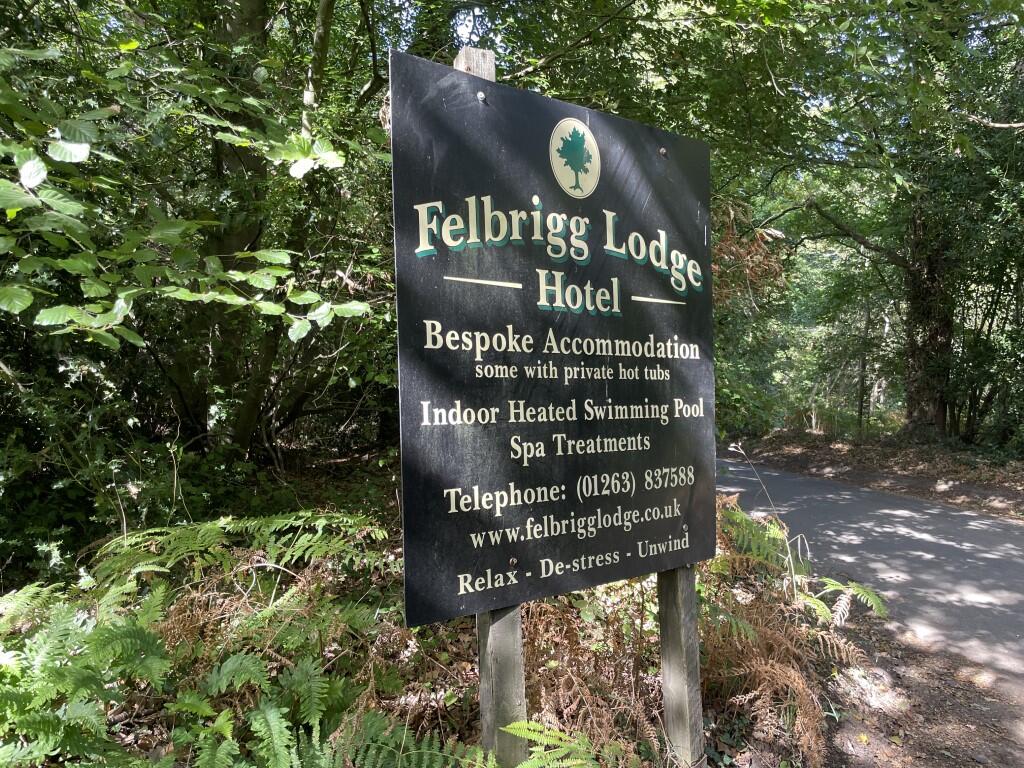 14  Medium  T202510291555.jpg