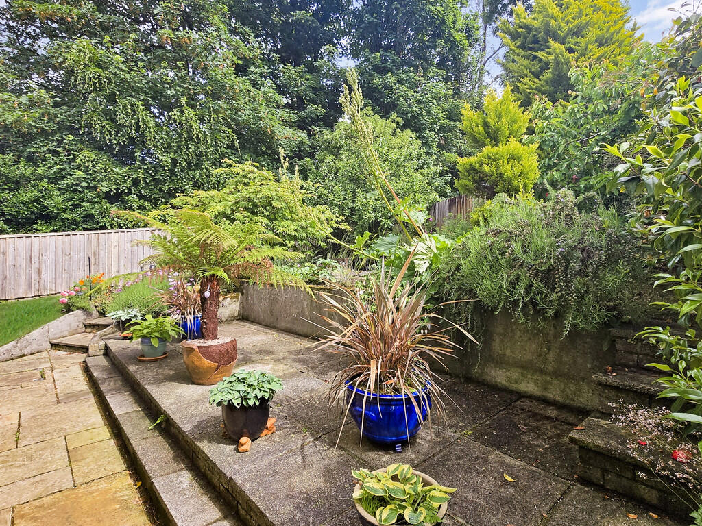 sketch_Ph5_598245...