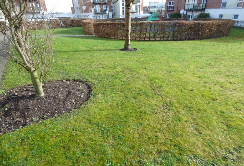 Communal Gardens