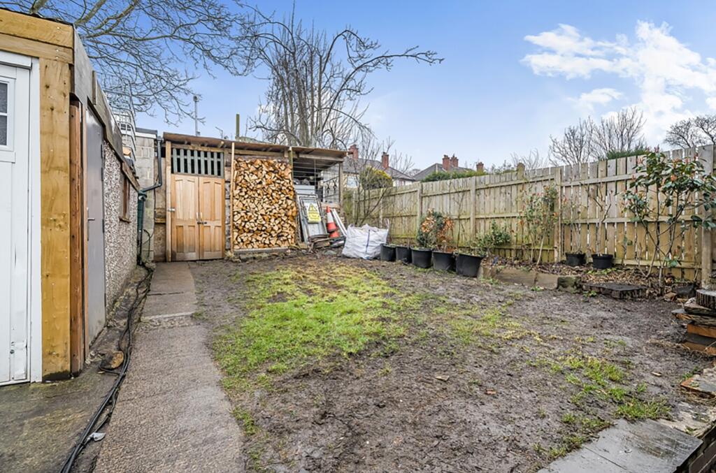 Back garden