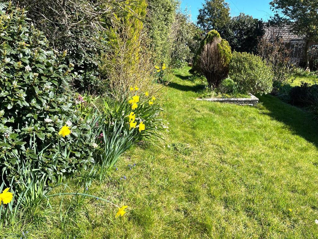 Front garden