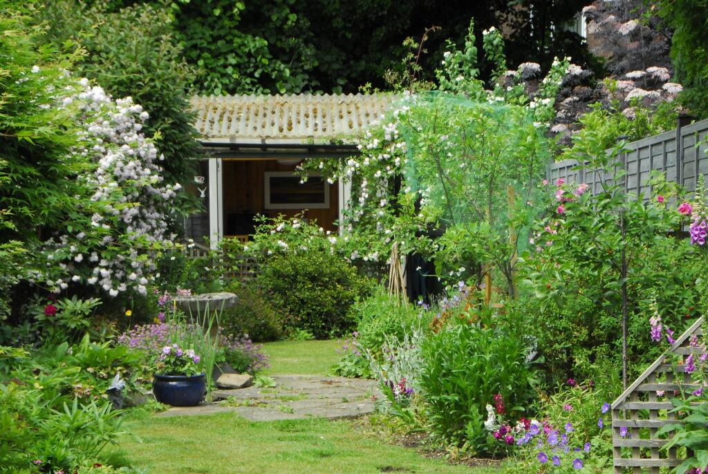 Rear Garden (Summertime)