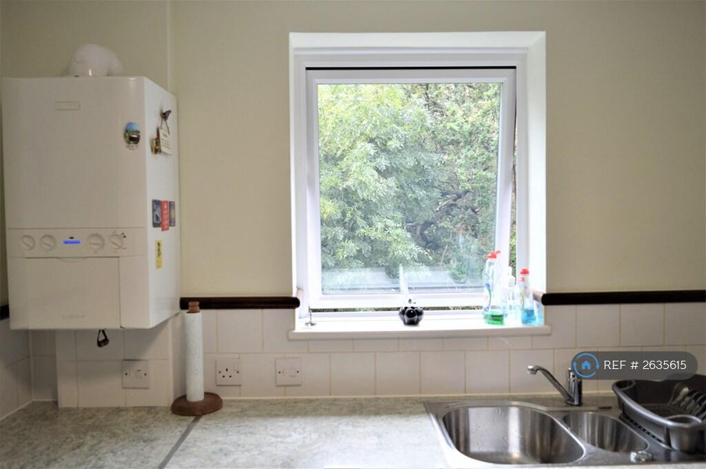 Kitchen Window