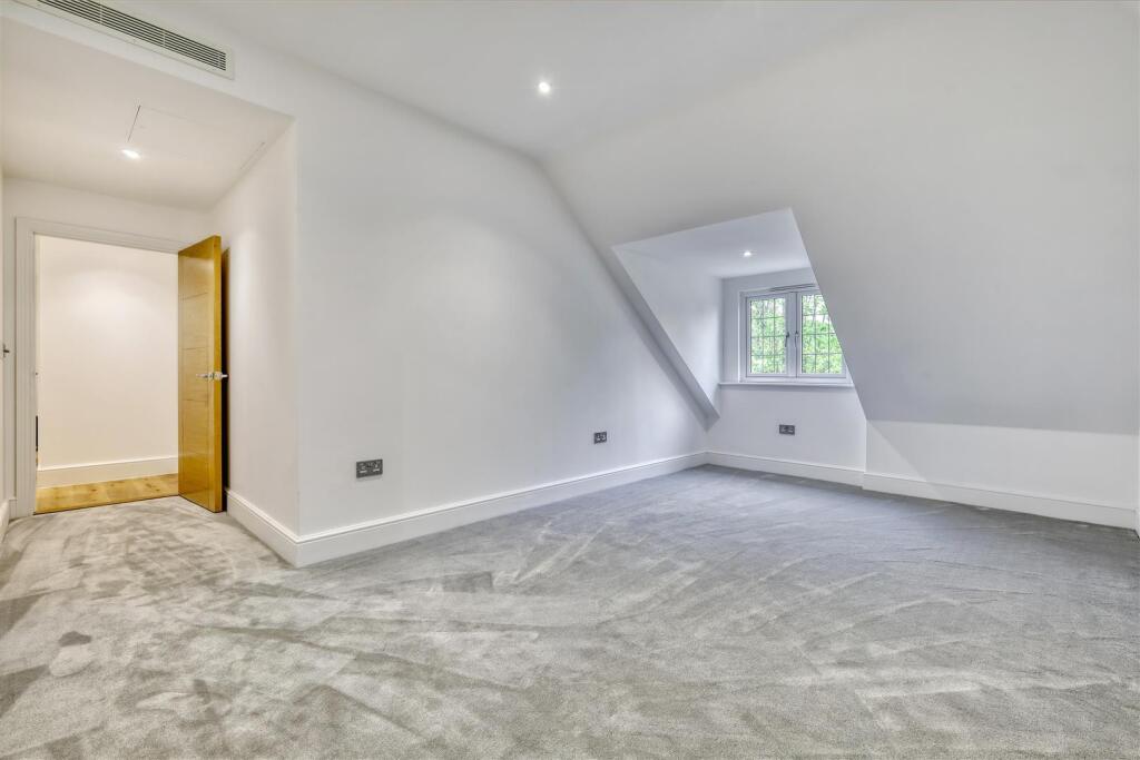 IMG_4715_3 copy 2.jpg