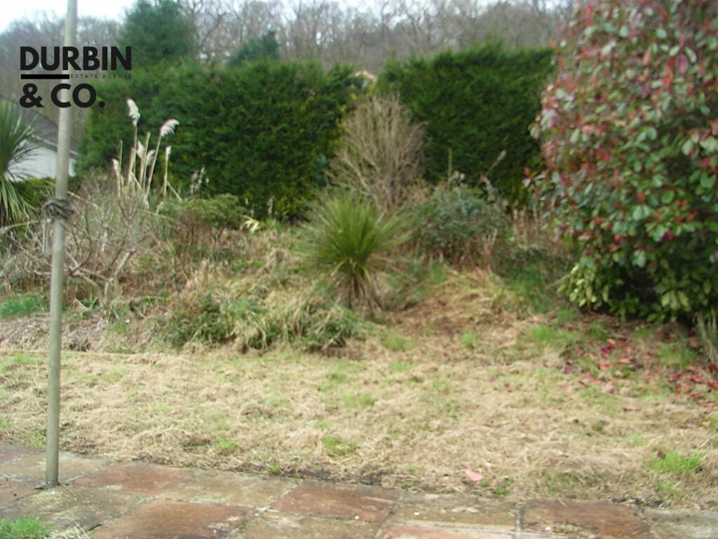 RIMG0030 - Copy (3).JPG