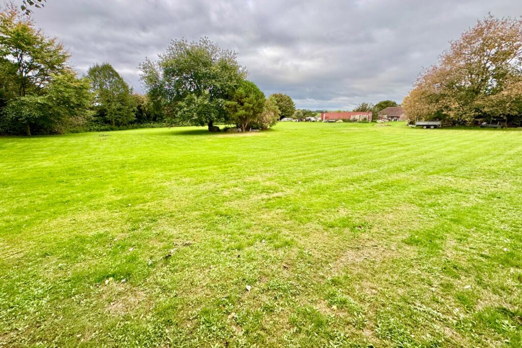 Main Field