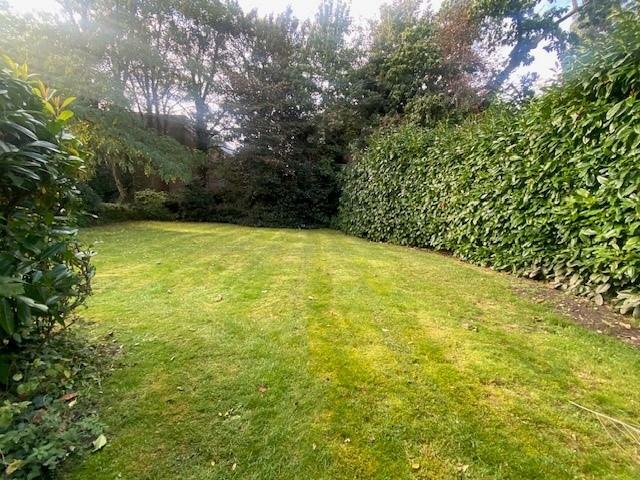 4 Clarendon House garden.jpg