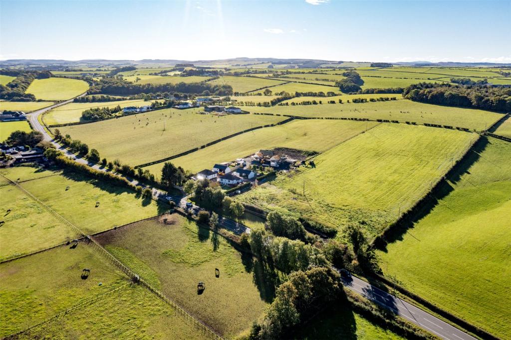 Aerial Shot