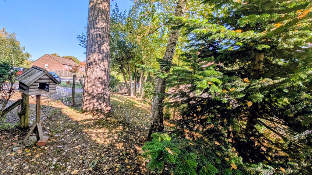 Side Garden