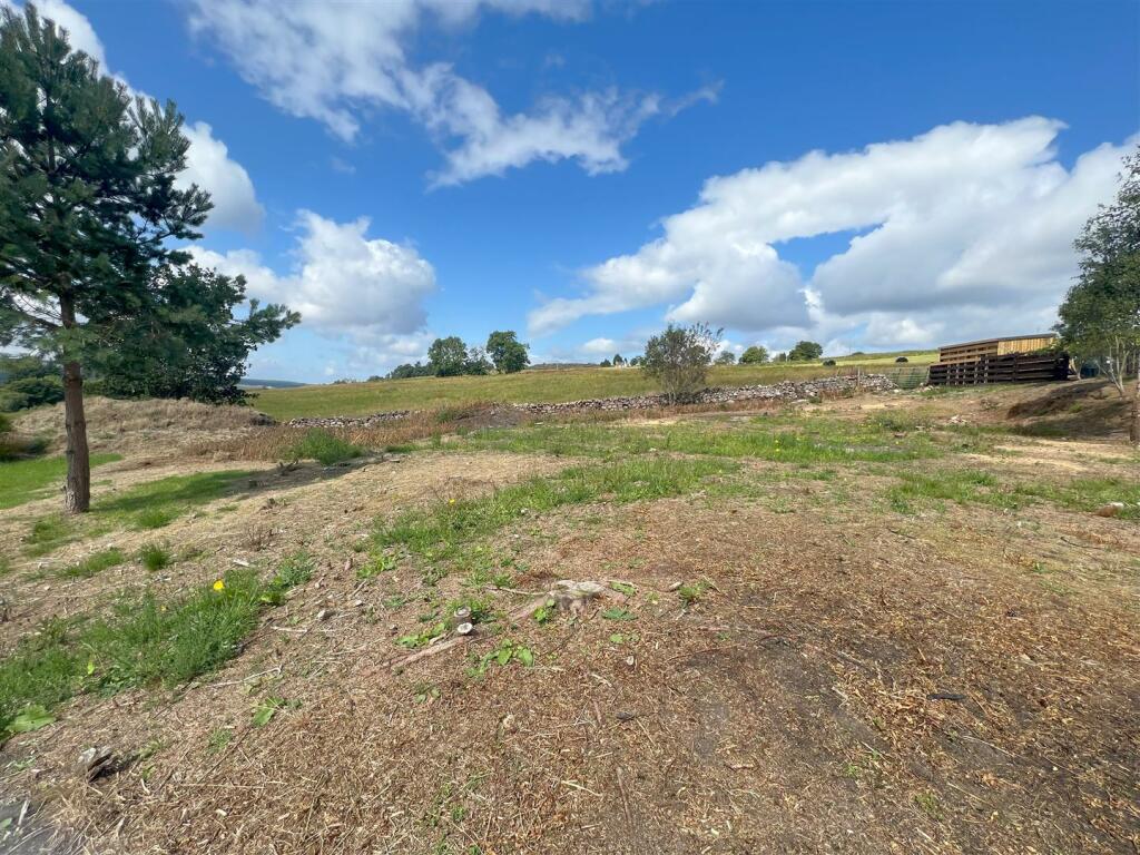 SITE